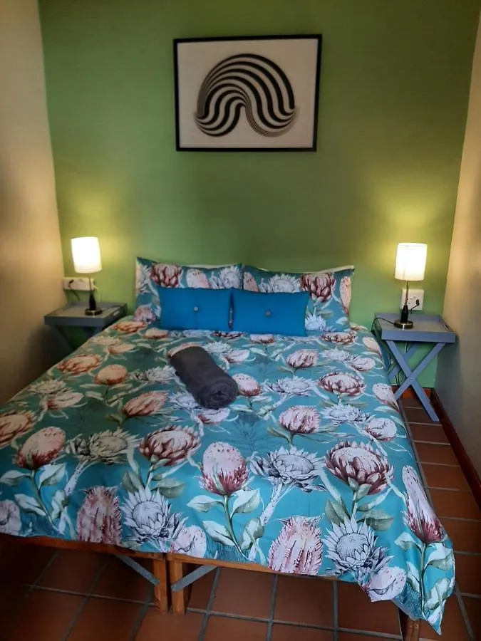 Hostel Zebra Crossing Backpacker Pansiyon Cape Town