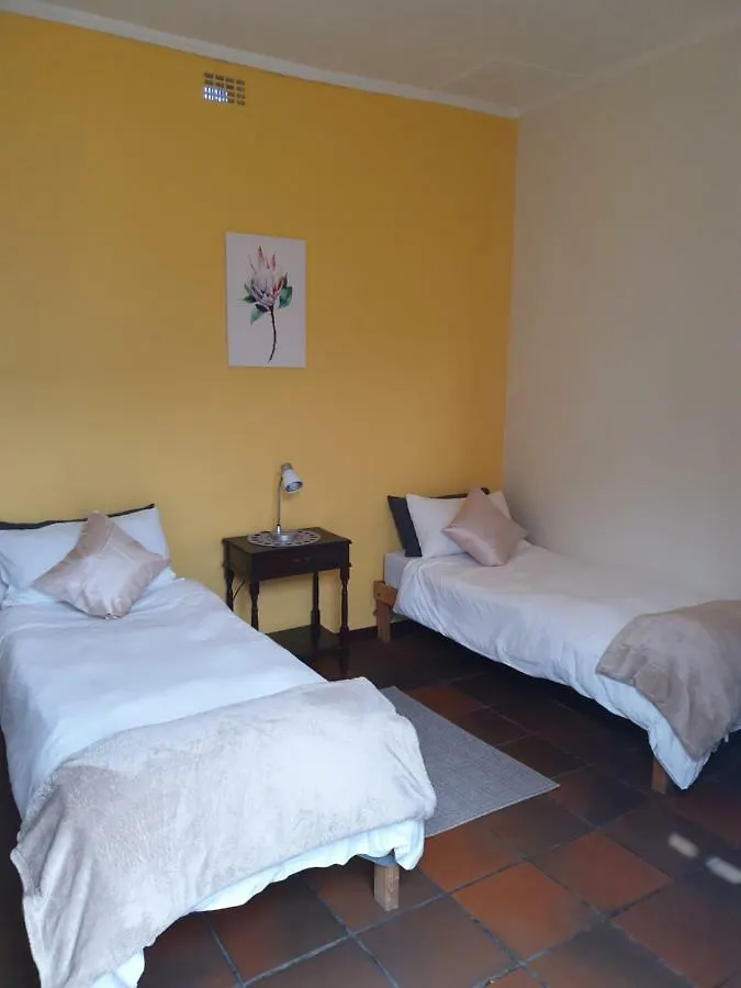 Hostel Zebra Crossing Backpacker Pansiyon Cape Town Güney Afrika
