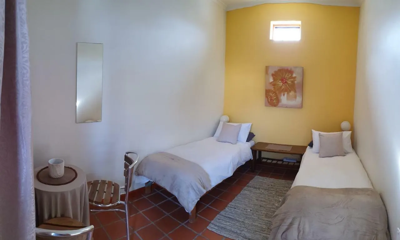 Hostel Zebra Crossing Backpacker Pansiyon Cape Town Güney Afrika